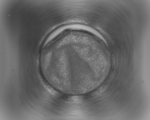 X0000074290064200609222320