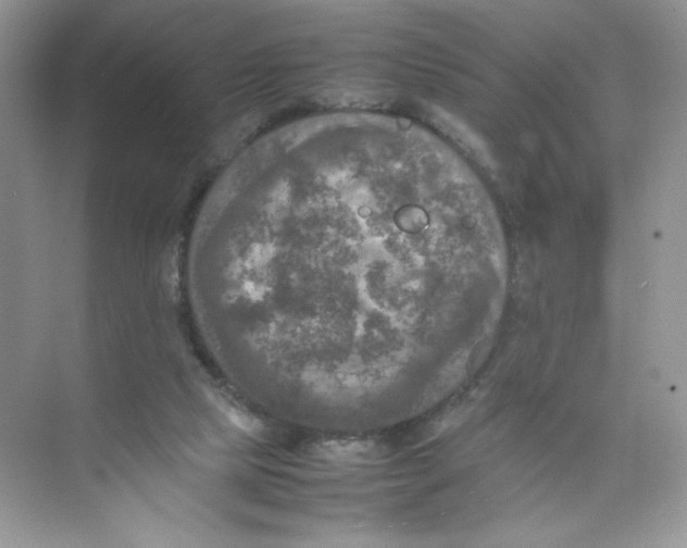 X0000074290065200609222320