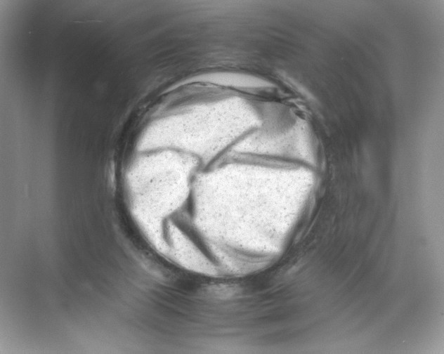 X0000074290067200609222320