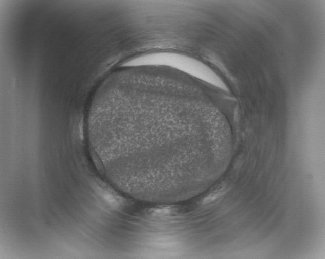 X0000074290068200609222320