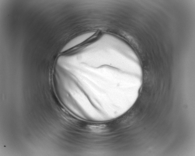 X0000074290069200609222320