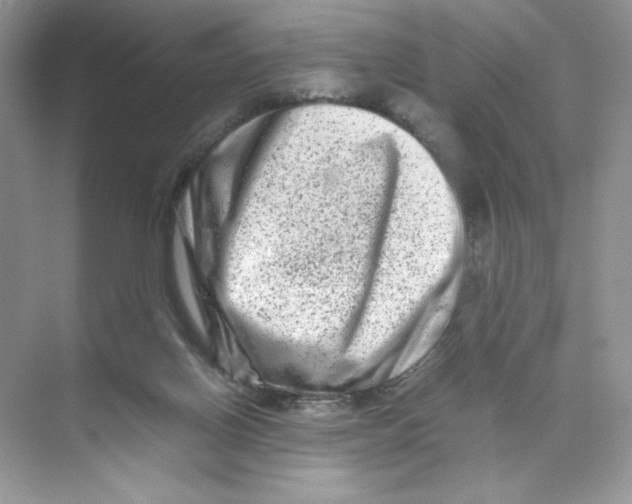 X0000074290070200609222320