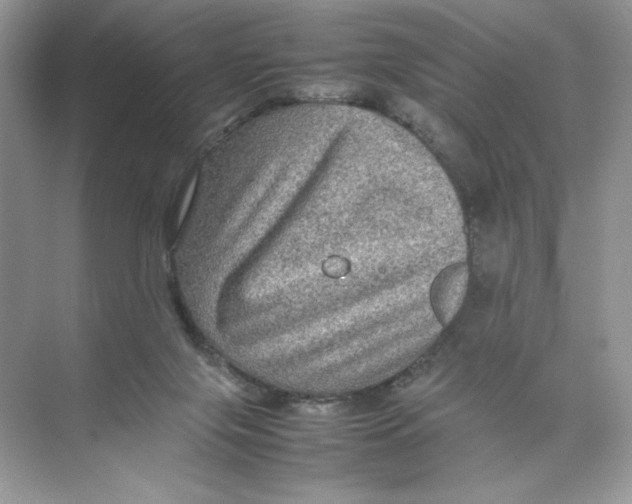 X0000074290071200609222320