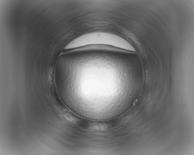 X0000074290073200609222320