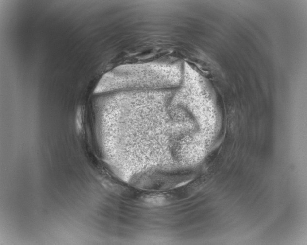 X0000074290075200609222320