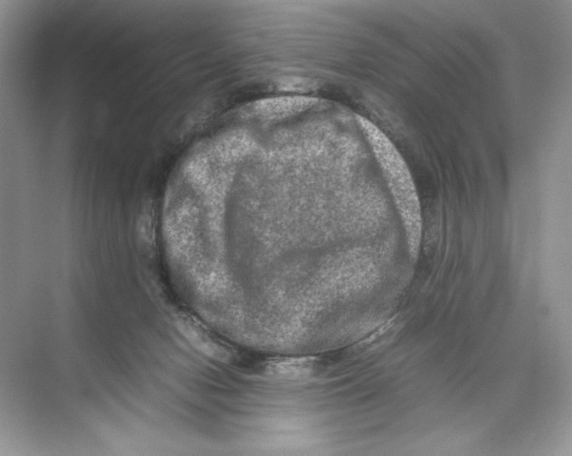 X0000074290078200609222320