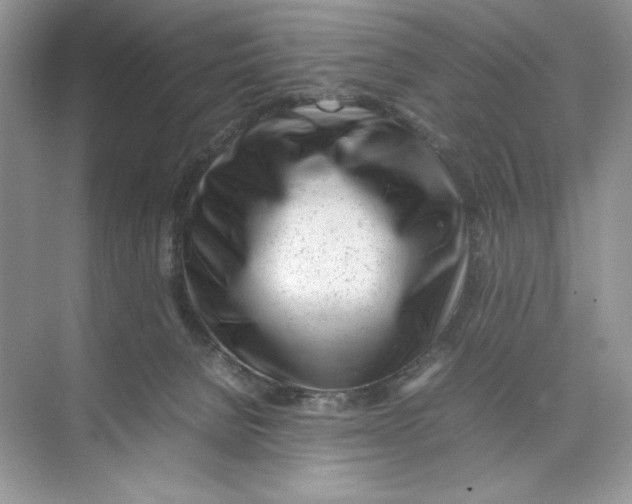 X0000074290080200609222320