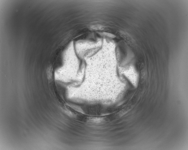 X0000074290081200609222320