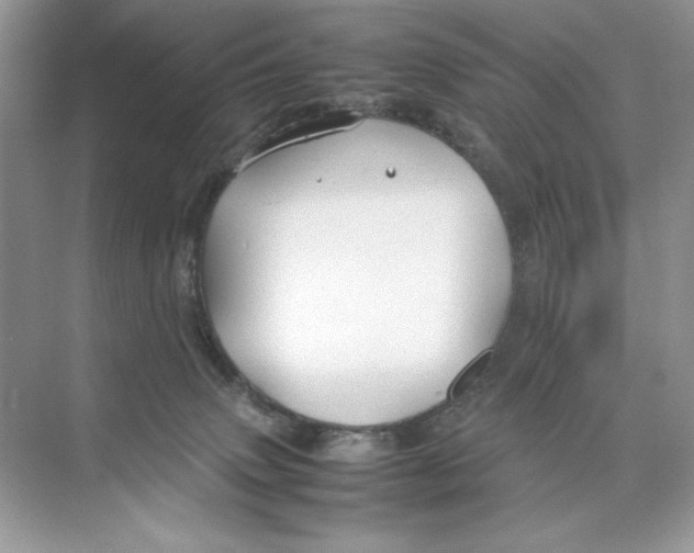 X0000074290083200609222320