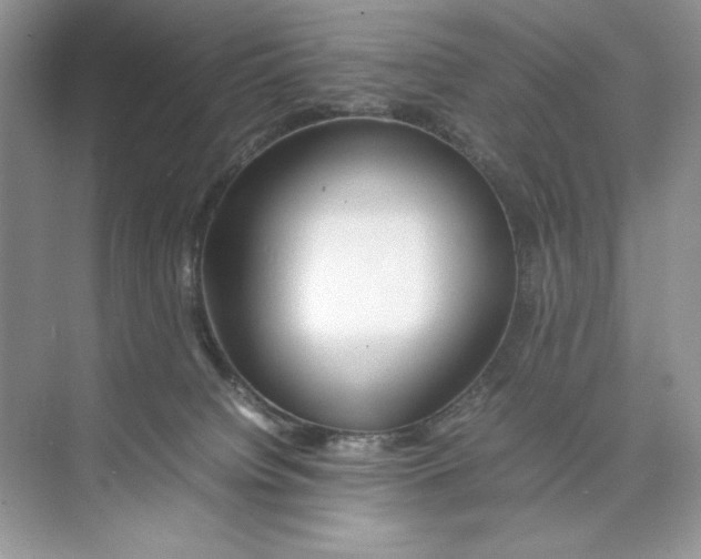 X0000074290084200609222320