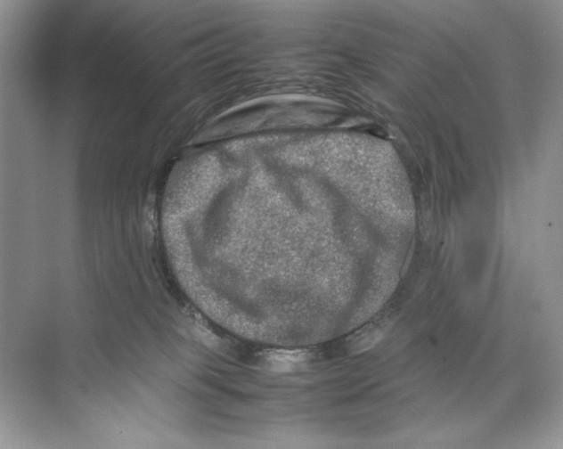 X0000074290085200609222320