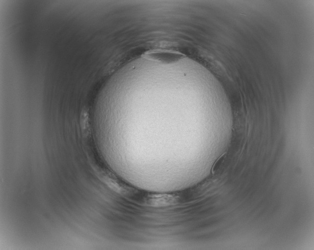 X0000074290087200609222320