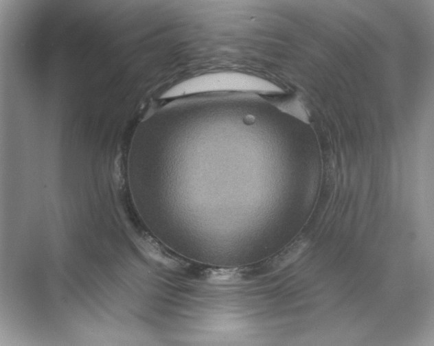 X0000074290088200609222320