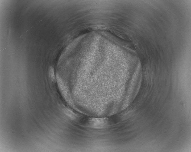 X0000074290089200609222320