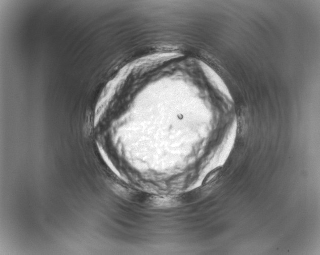 X0000074290093200609222320