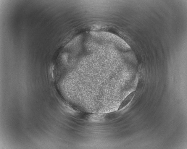 X0000074290094200609222320