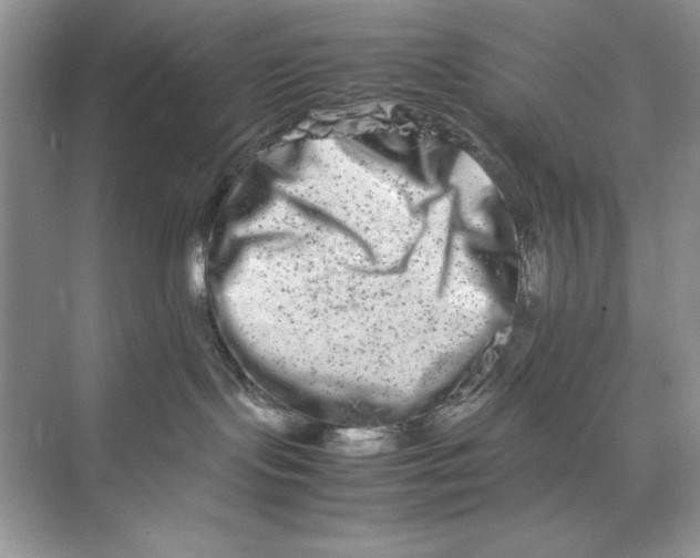 X0000074290095200609222320