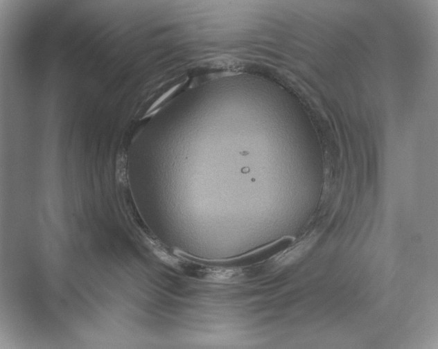 X0000074290096200609222320