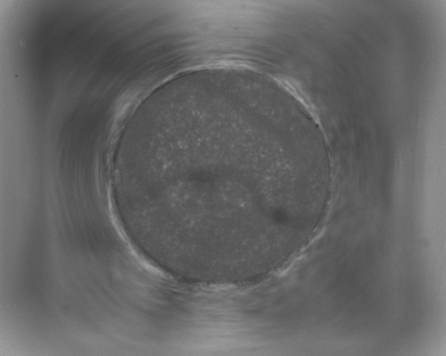 X0000074290097200609222319