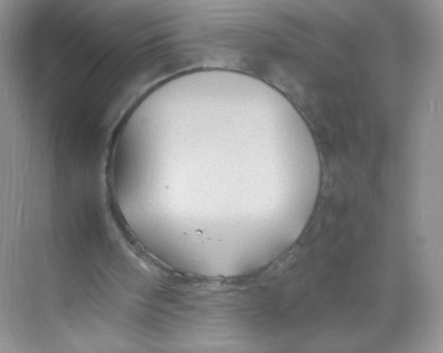 X0000074290098200609222319