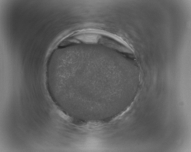 X0000074290101200609222319