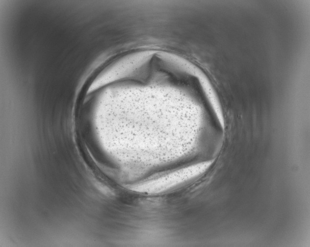 X0000074290102200609222319