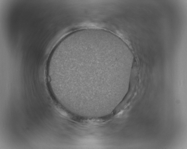 X0000074290103200609222319