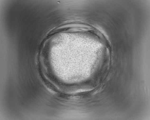 X0000074290105200609222319