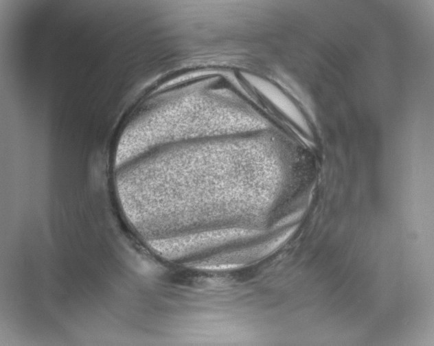 X0000074290107200609222319