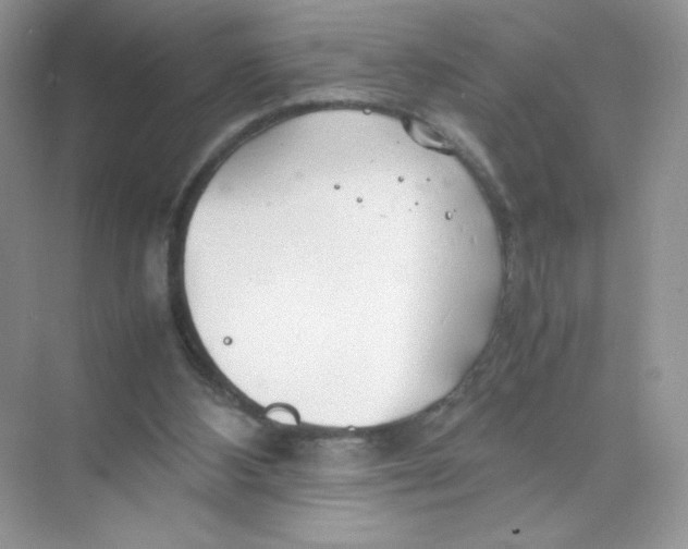 X0000074290108200609222319