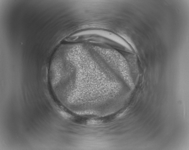 X0000074290109200609222319