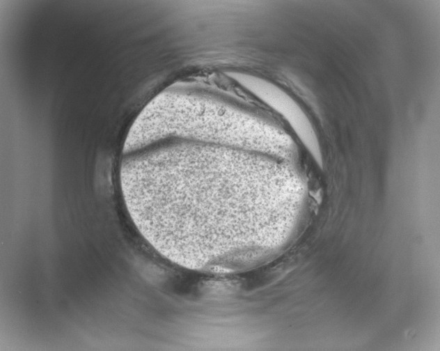 X0000074290115200609222319