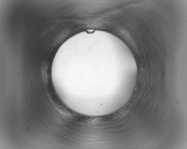 X0000074290116200609222319