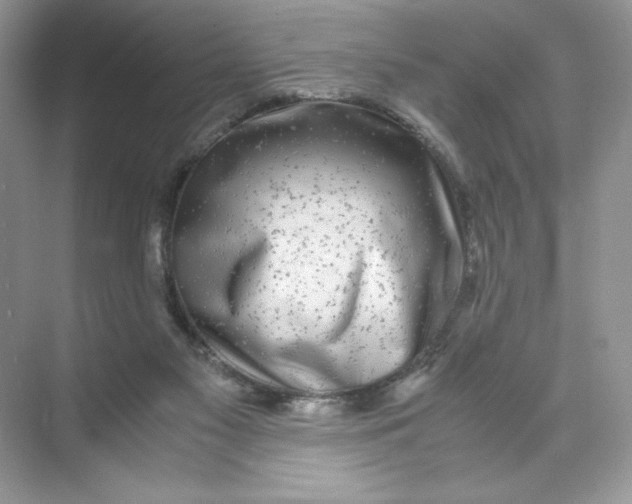 X0000074290117200609222319