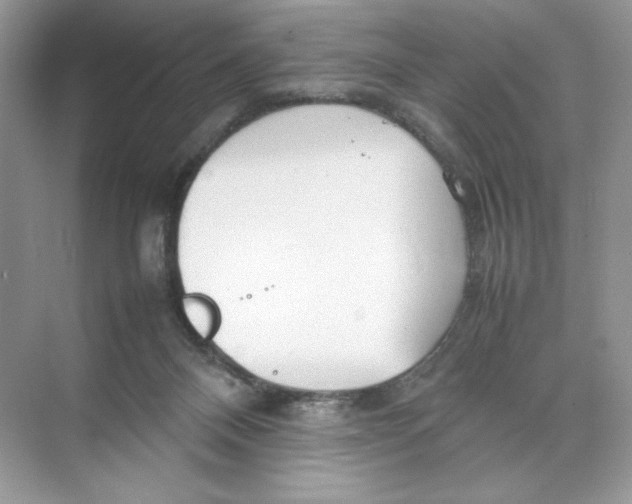 X0000074290120200609222319