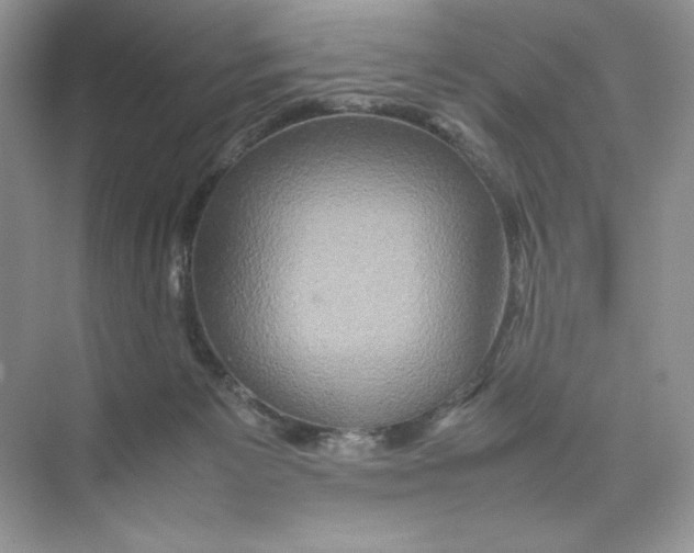 X0000074290125200609222319