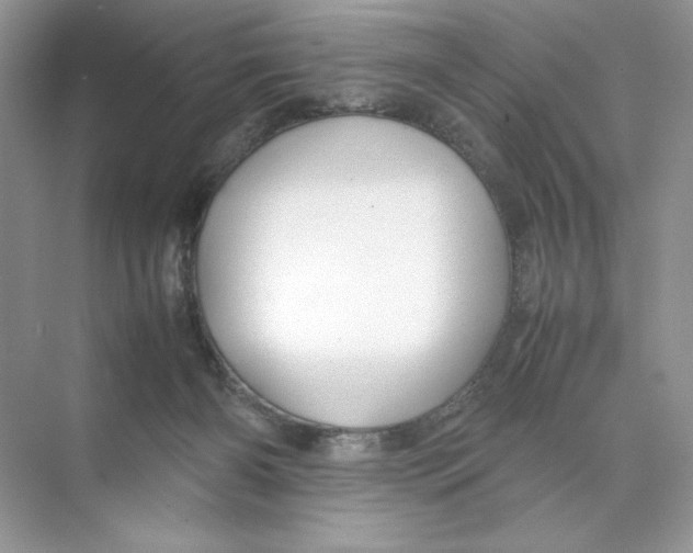 X0000074290126200609222319