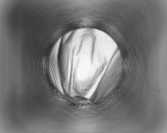 X0000074290127200609222319