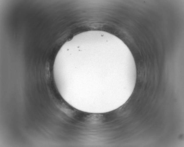 X0000074290128200609222319