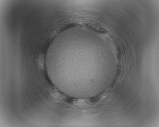 X0000074290129200609222319