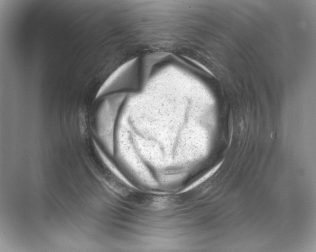 X0000074290130200609222319