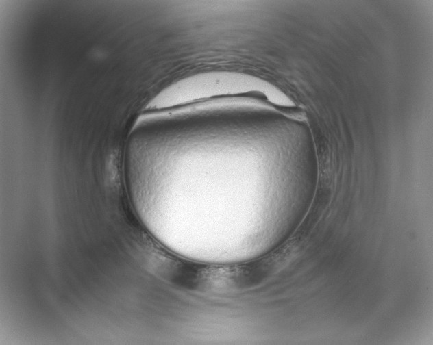 X0000074290131200609222319