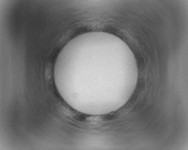 X0000074290133200609222319