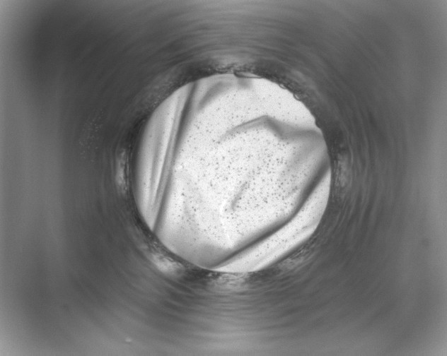 X0000074290138200609222319