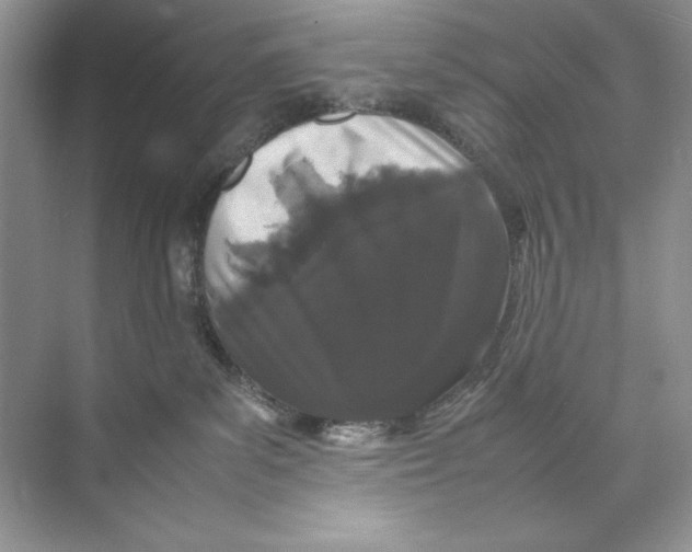 X0000074290139200609222319