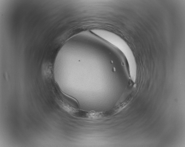 X0000074290141200609222319