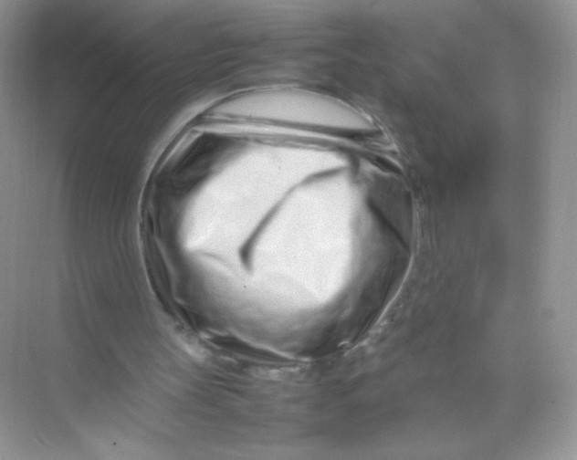 X0000074290147200609222318