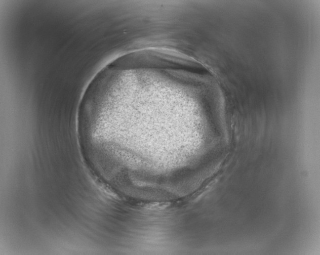 X0000074290148200609222318