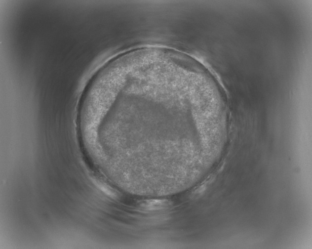 X0000074290151200609222318