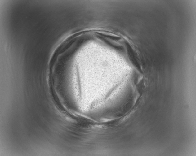 X0000074290152200609222318